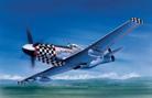 plastic airplane model,model planes,P51D Mustang Aircraft -- Plastic Model Airplane Kit -- 1/24 Scale -- #14001
